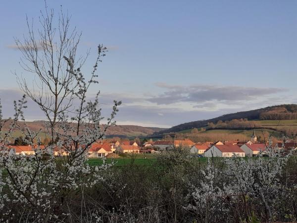 vue du lotissement a Pouillenay